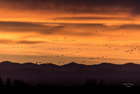 Notes In The Sky 16" x 20" metal print