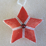 Beaded Star Kit